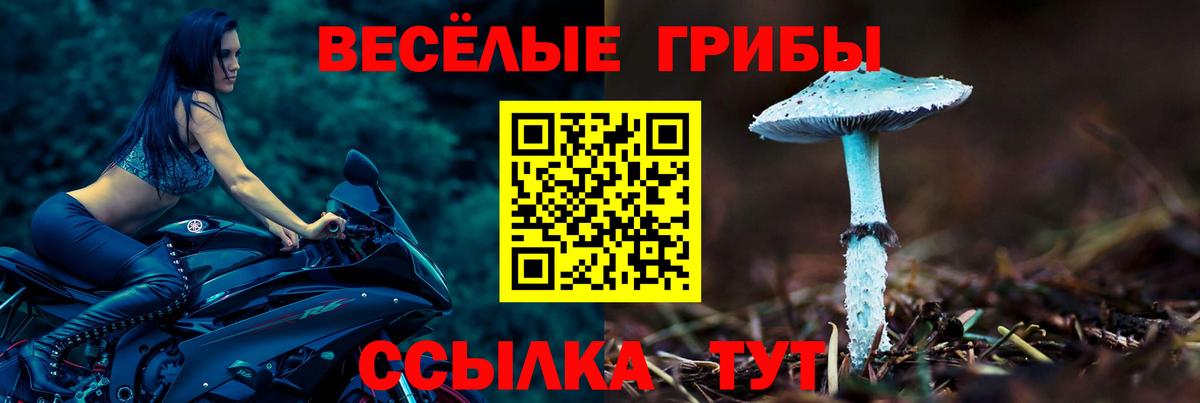 Галлюциногенные грибы Magic Shrooms Сегежа